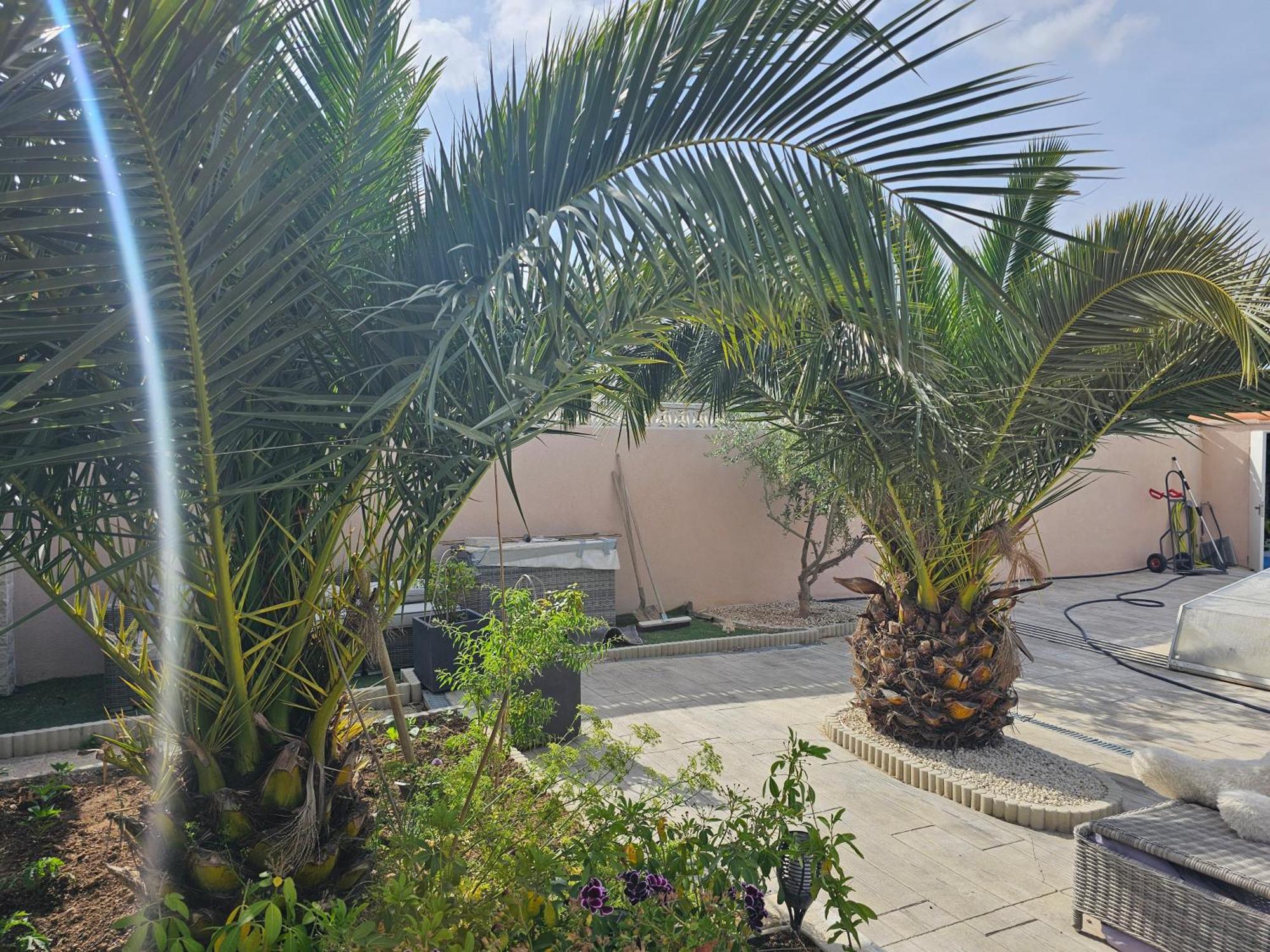 Ni 100%gite,ni100% Loc Chez Kheira&pascal Appartement *
